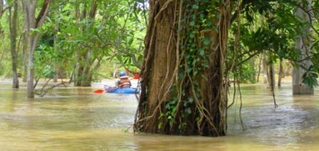 Photo by Alex Aziz: Flooded Forests Kayaking
