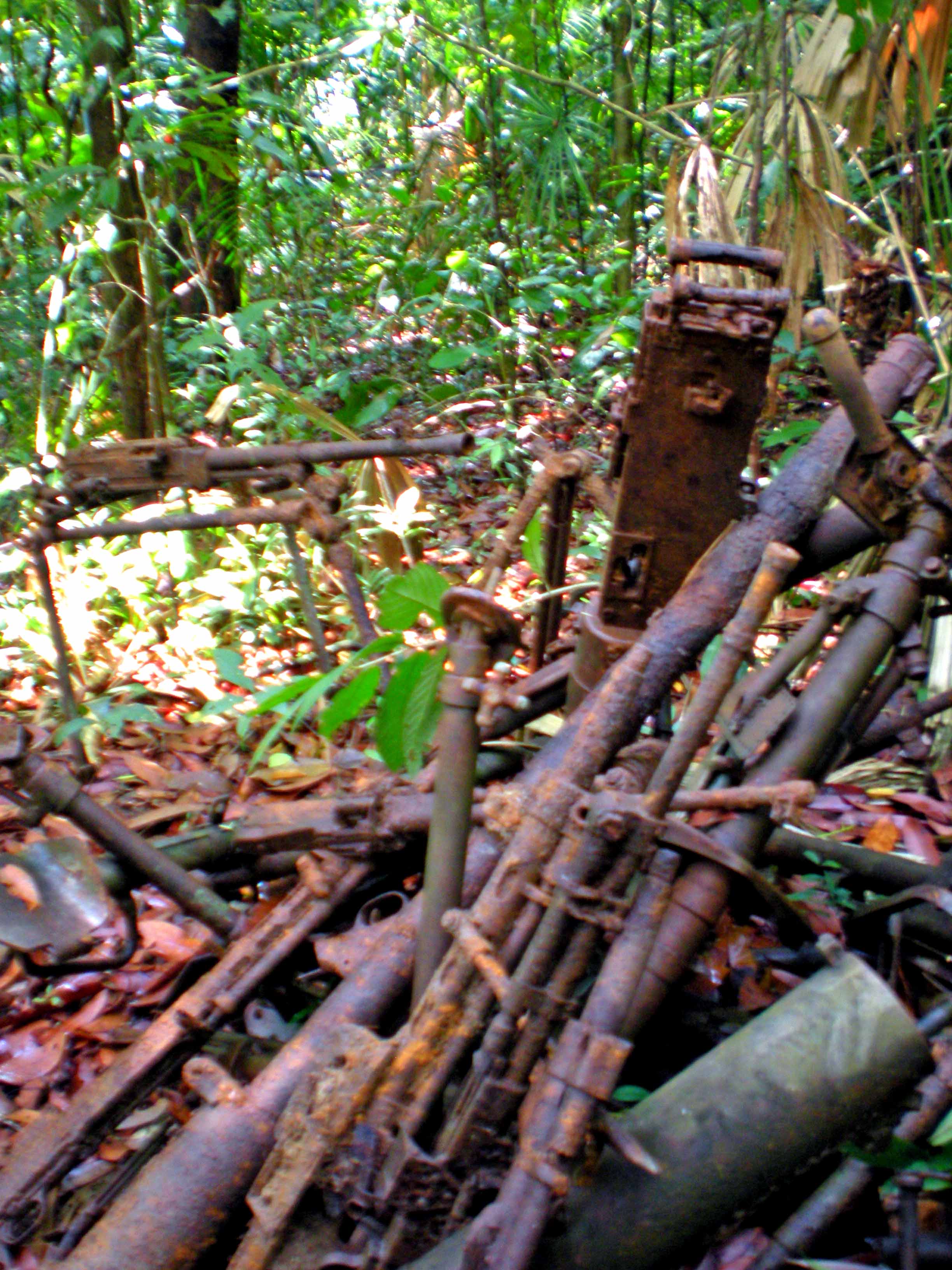 Ho Chi Minh Trail
