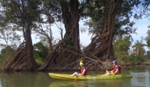 Flooded Forests Kayaking