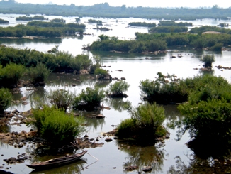 Mekong River