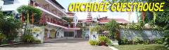 Orchidee Link
