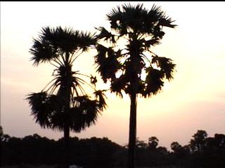 cambodia adventure travel tours